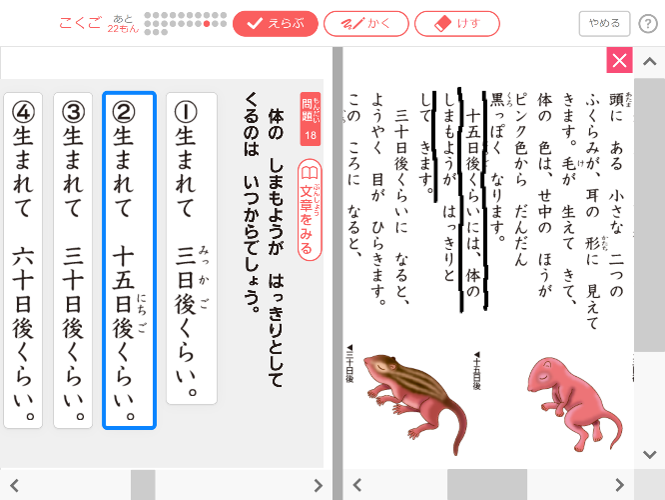 進研ゼミ小学講座の実力診断テスト、オンライン完結のCBT方式で無料