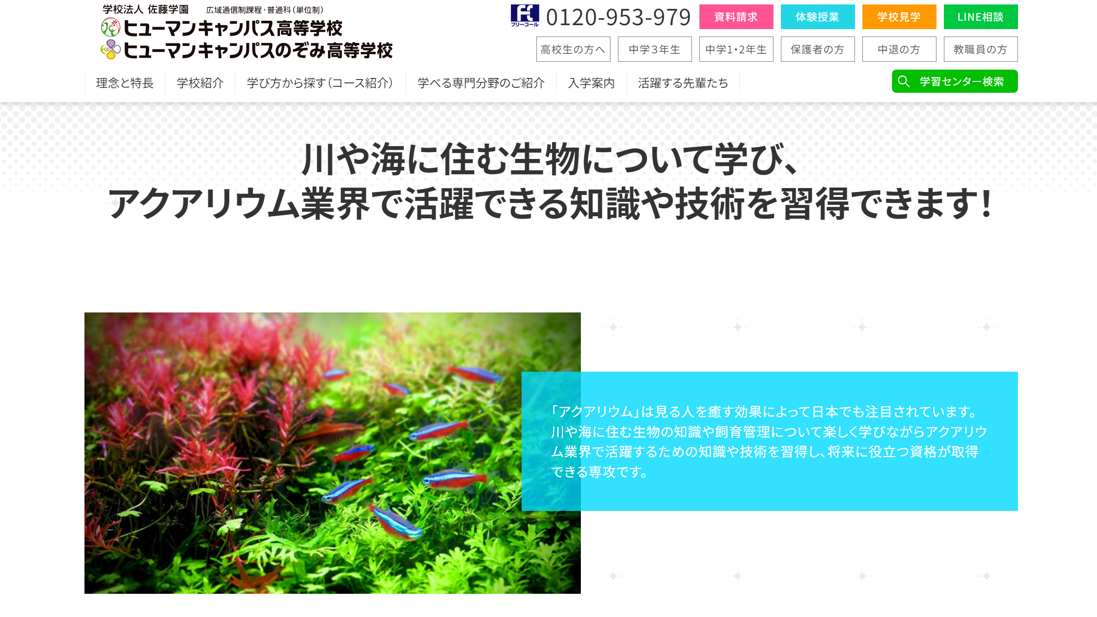 【未使用】ヒューマンアカデミー 通信Webサイト制作上級コース 教材一式 未使用】ヒューマンアカデミー 通信Webサイト制作上級コース