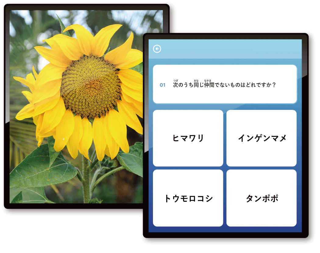 ブリタニカ、百科事典を画像検索できる学習教育ツール