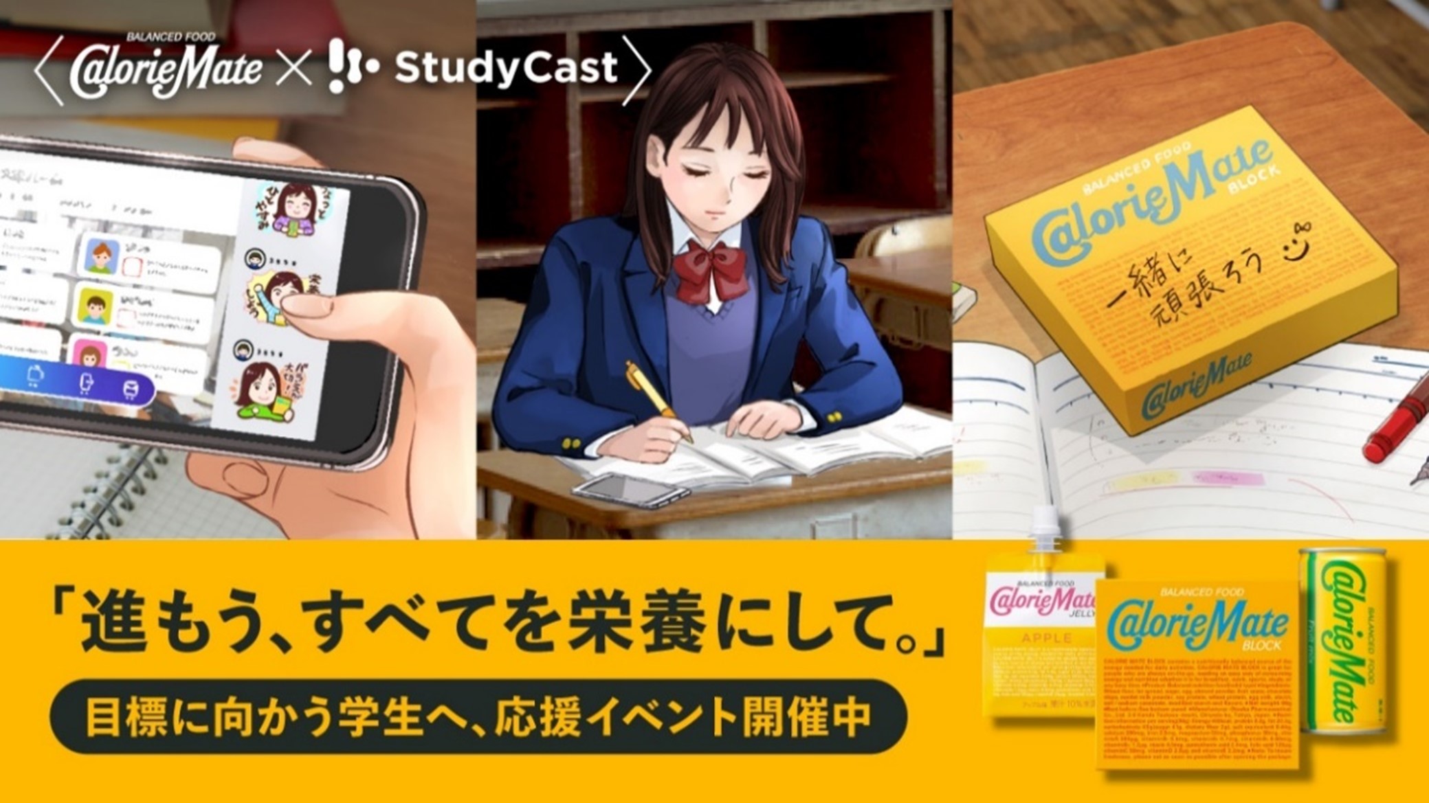 おさるのきーちゃん カロリーメイト (チョコレート味) 2本入り　2ケース おさるのきーちゃん様専用 カロリーメイト (チョコレート味) 2本