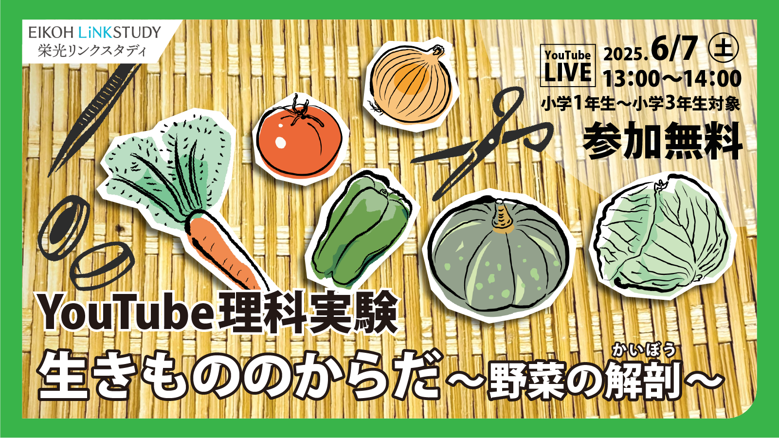 オンライン理科実験「生きもののからだ～野菜の解剖～」を6月7日に無料