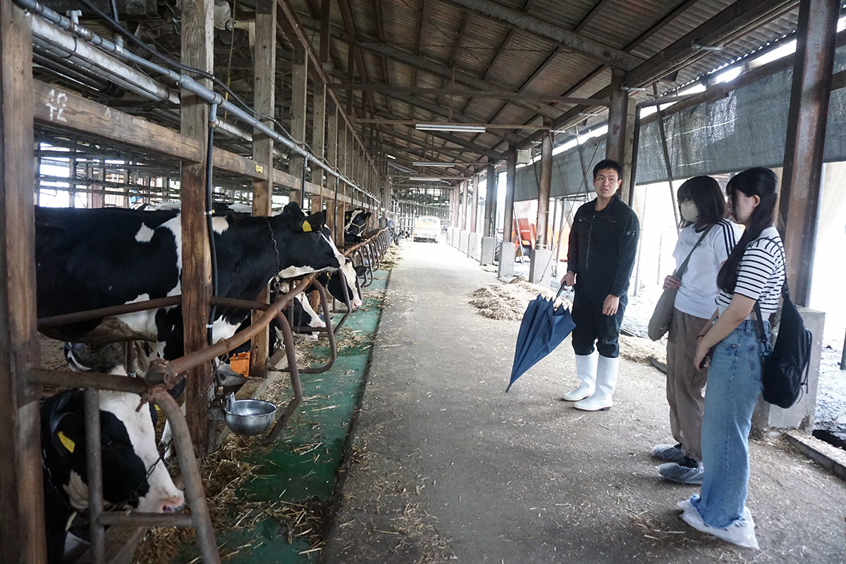 画像が削除されました