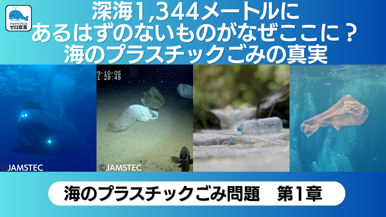 フリー教育 ニイル研究 神奈川県×ブリタニカ、動画で学ぶ環境探究教材を公開 - こどもとIT