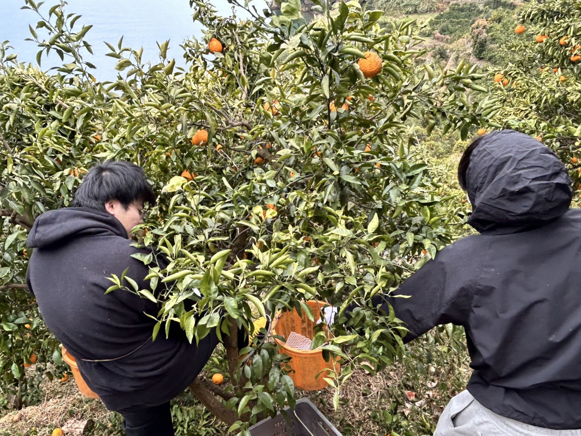 画像が削除されました