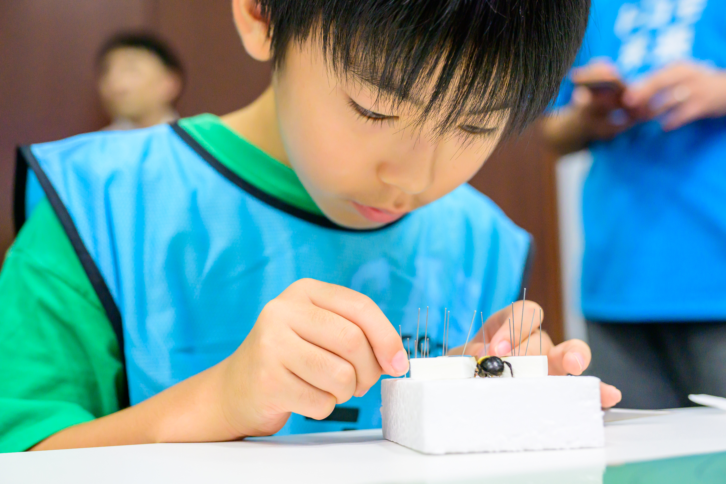 ドコモ未来フィールド」開催、国立科学博物館で子供たちが昆虫標本