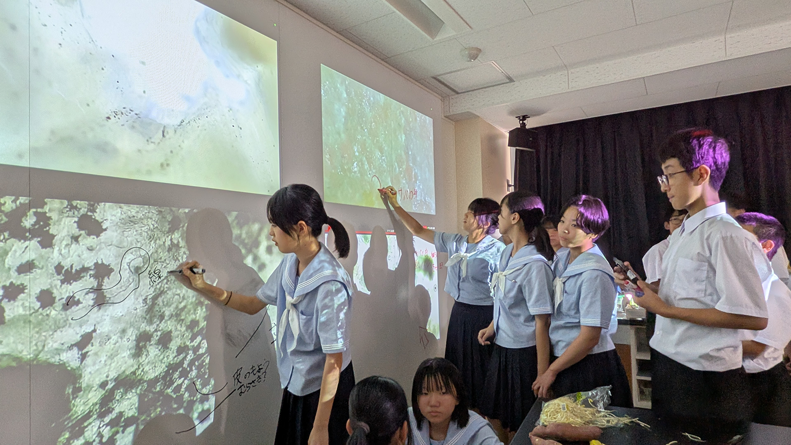 画像が削除されました